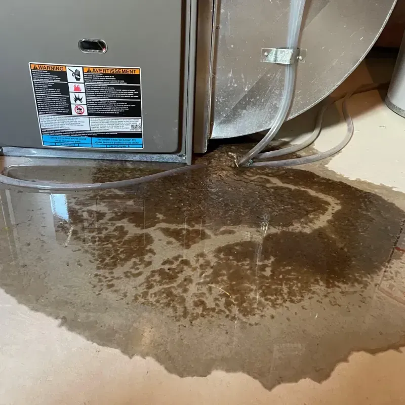 Appliance Leak Cleanup in Cottle County, TX